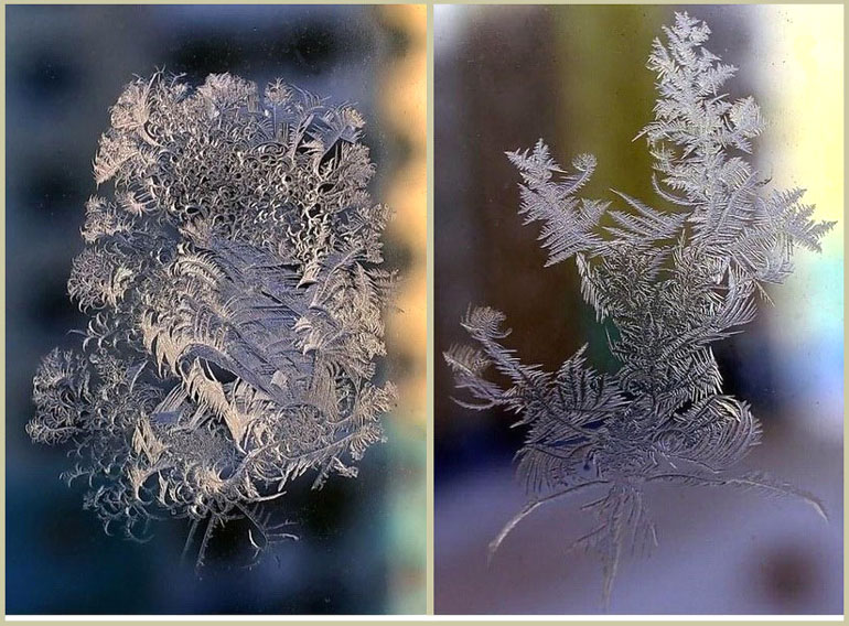 лёд,кристаллы-дендриты на стекле
