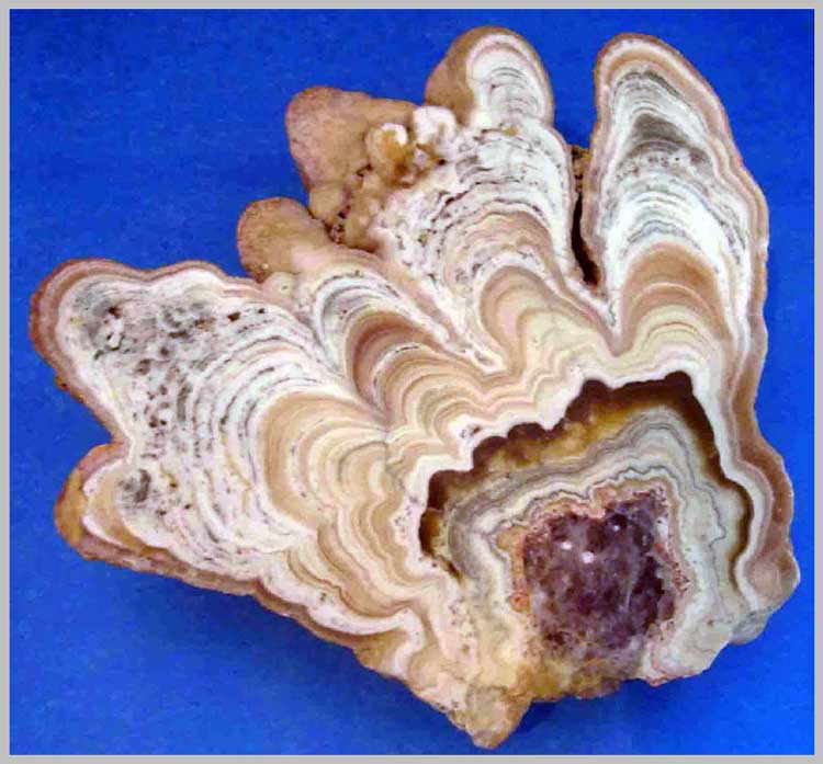  кальцит в форме кораллитов